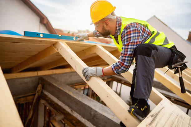 Best Affordable Roof Replacement  in Altavista, VA