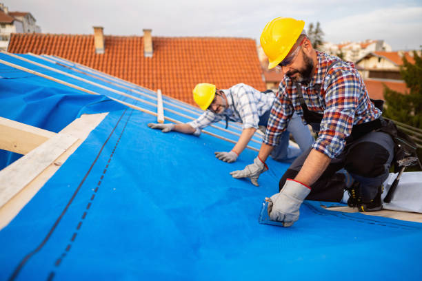 Roof Gutter Cleaning in Altavista, VA