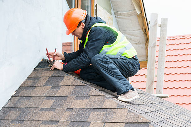 Best Roof Replacement Cost  in Altavista, VA