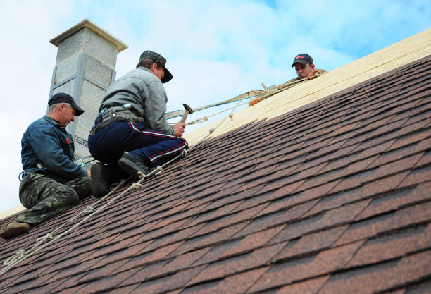 Best Flat Roof Repair Services  in Altavista, VA
